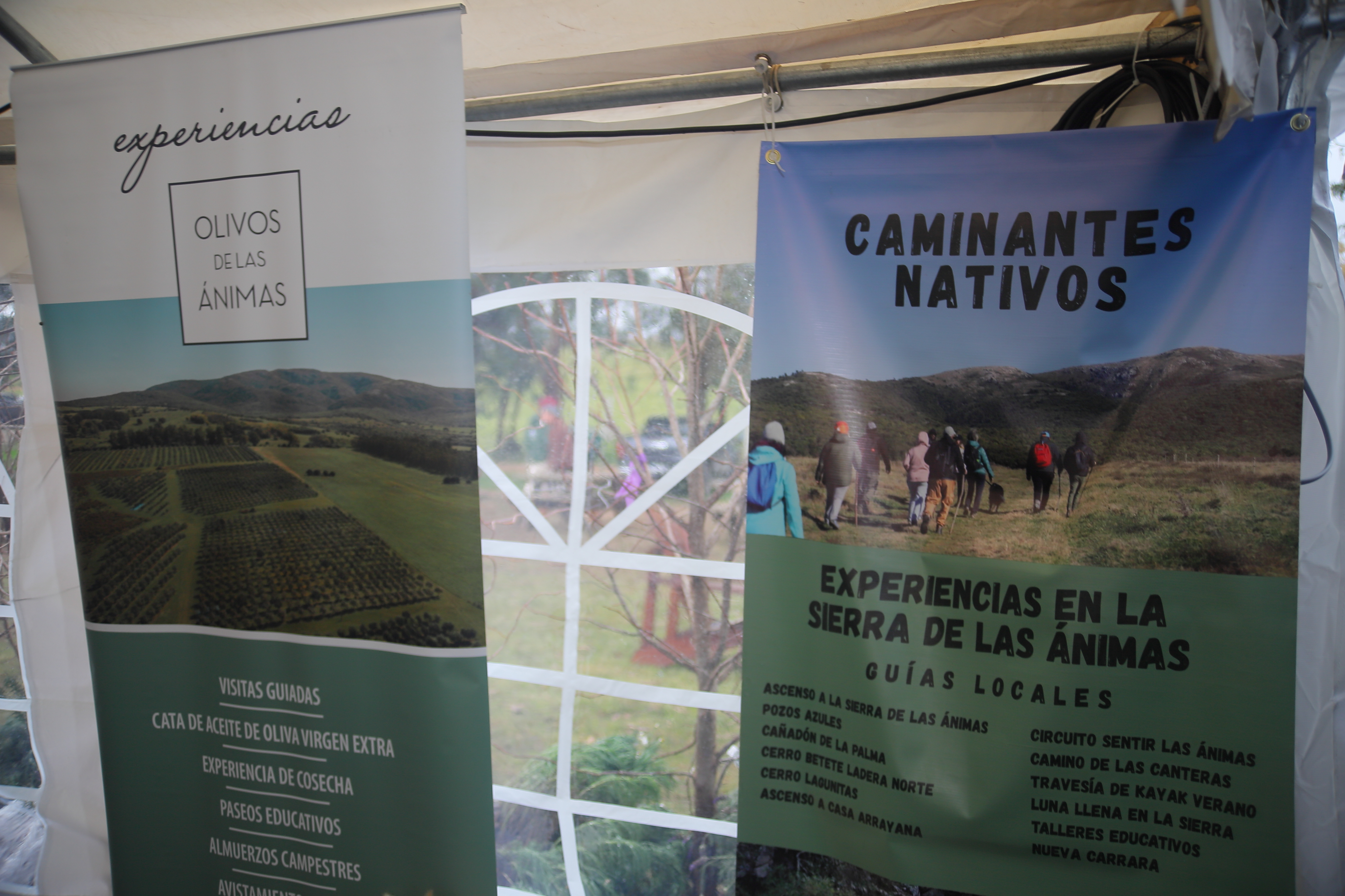 turismo invierno