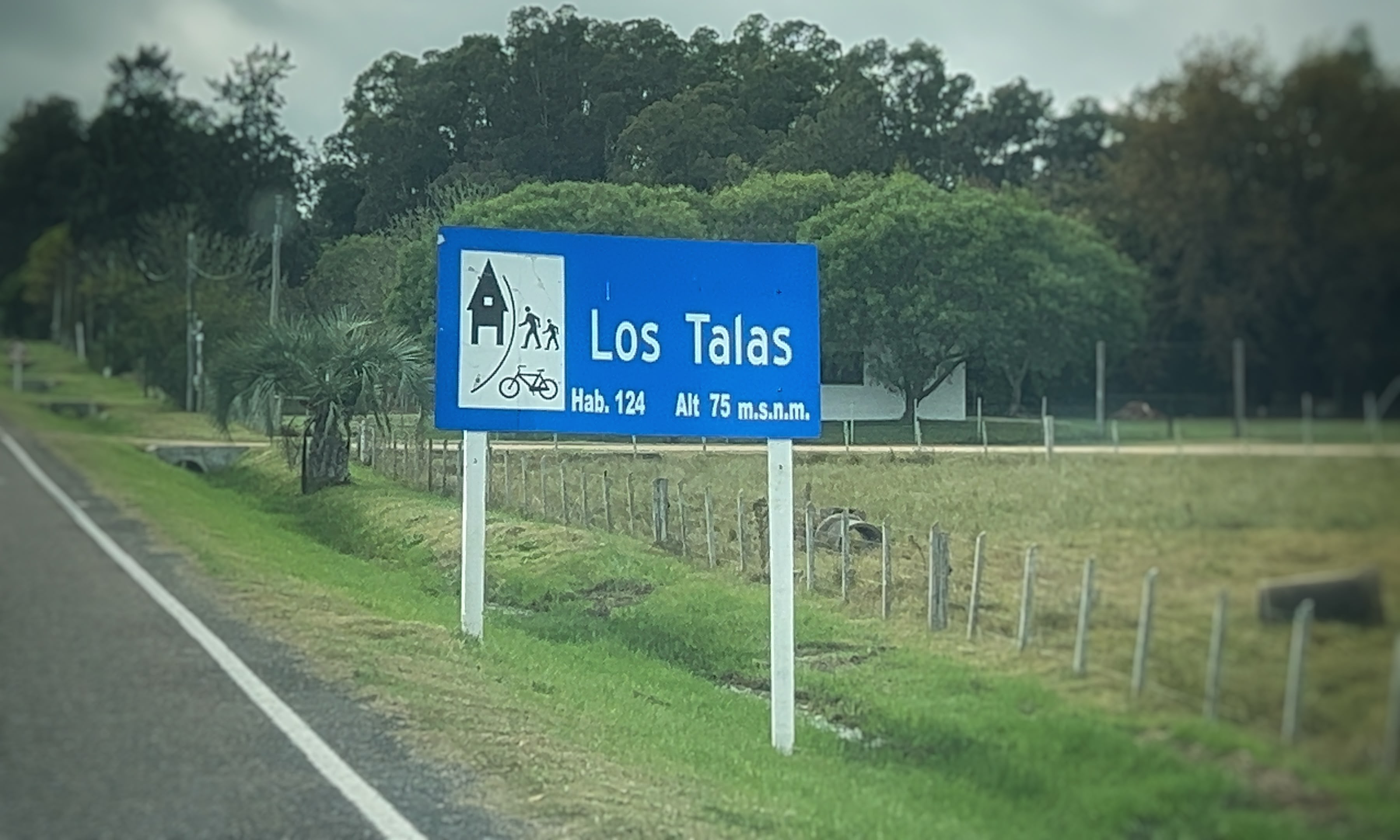 Formación