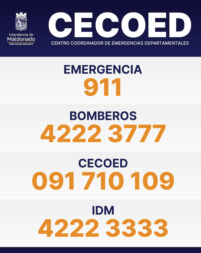 afiche
