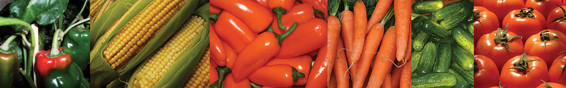 vegetales1