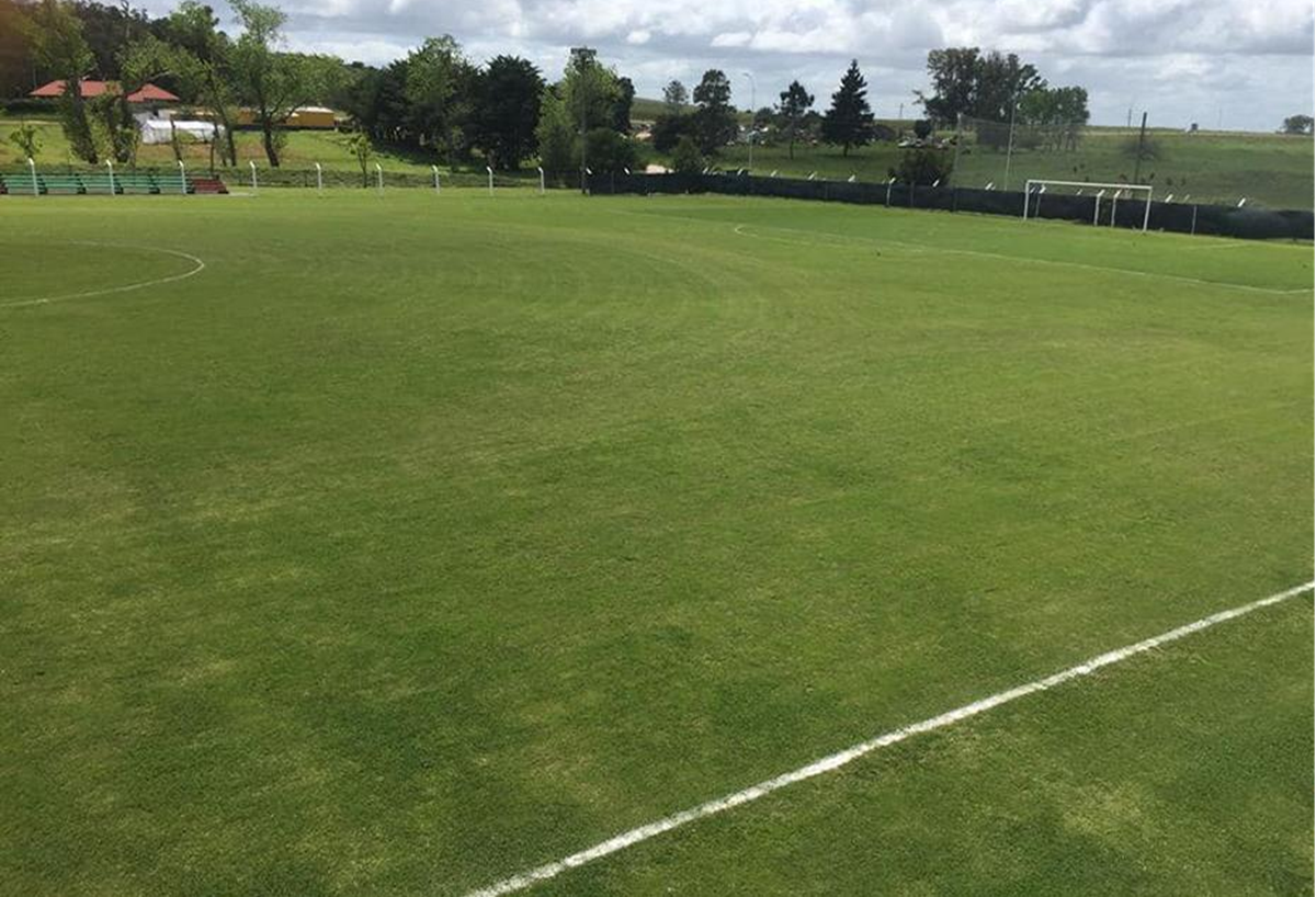 Fútbol