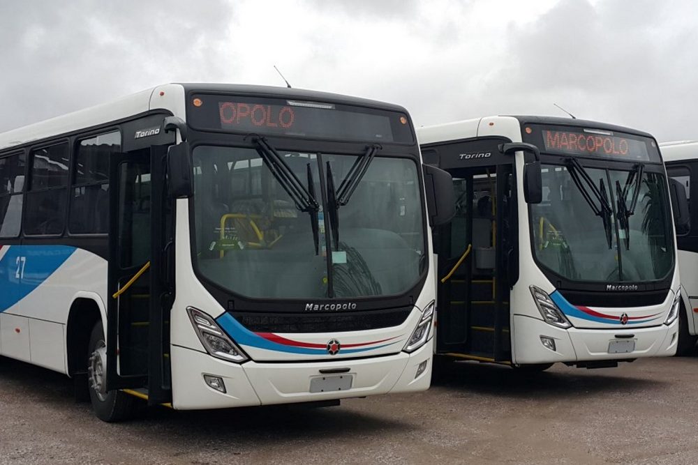 Buses