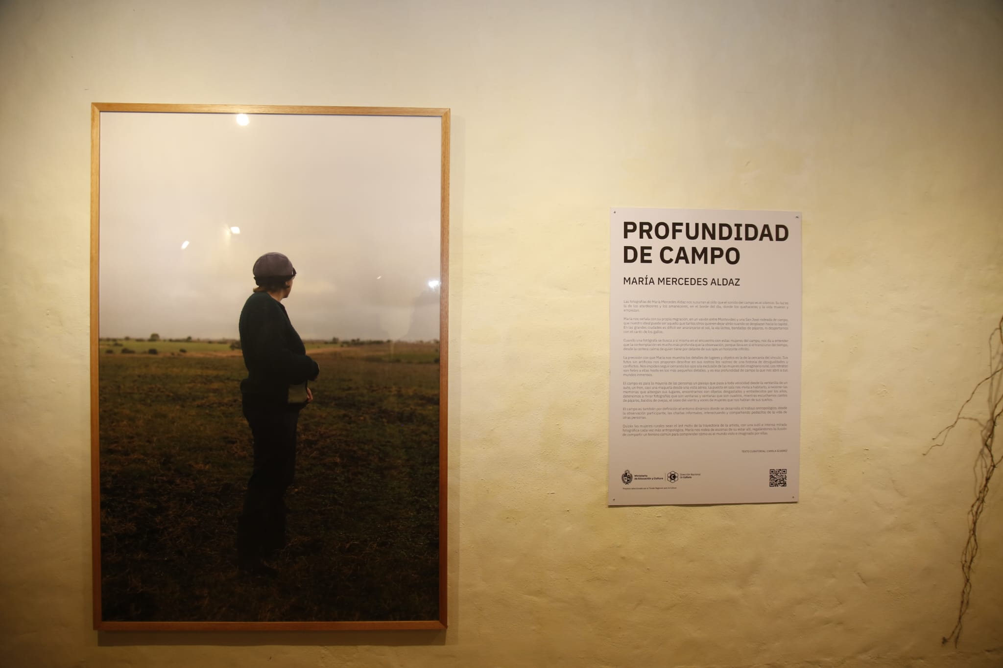 muestra