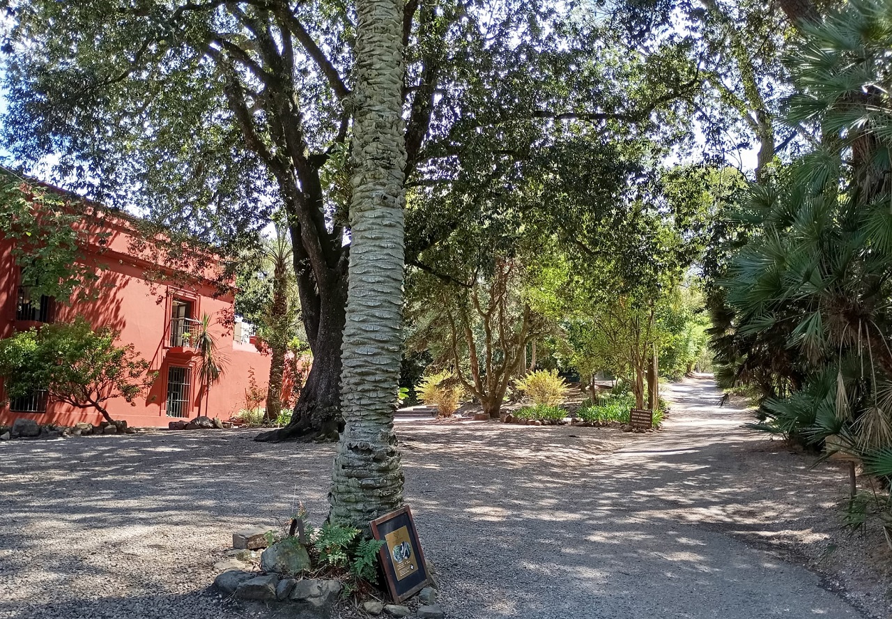 arboretum