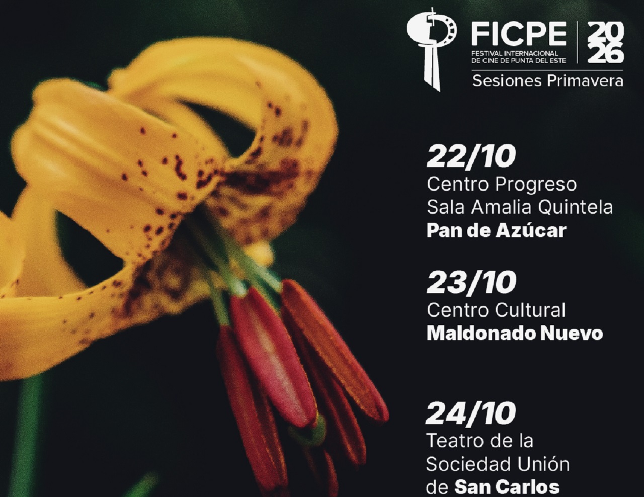 sesiones