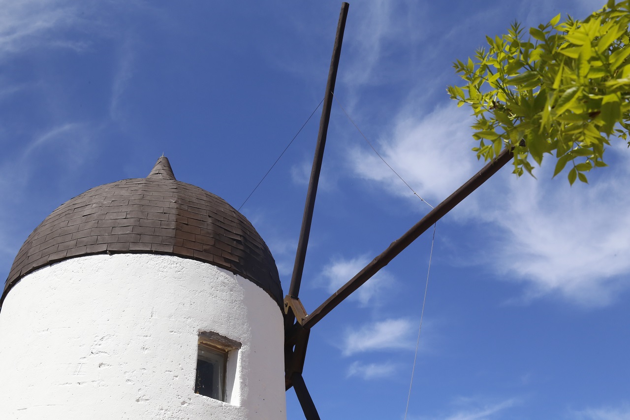 patrimonio