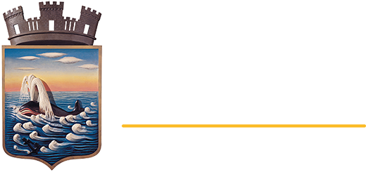 Logo Intendencia de Maldonado