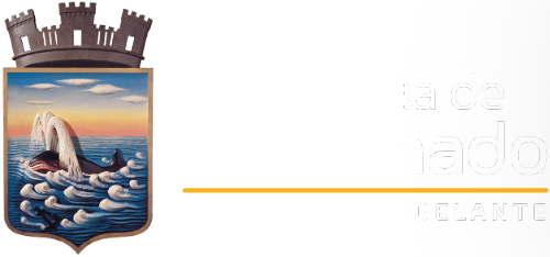 Logo Intendencia de Maldonado
