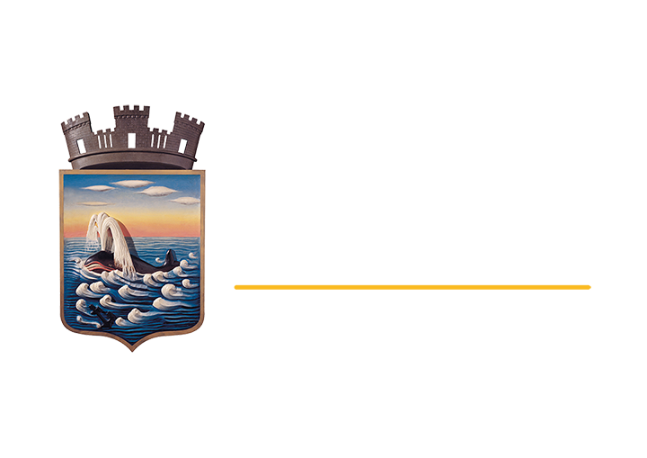 Logo Intendencia de Maldonado